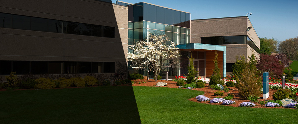 Hesperia Landscapers
