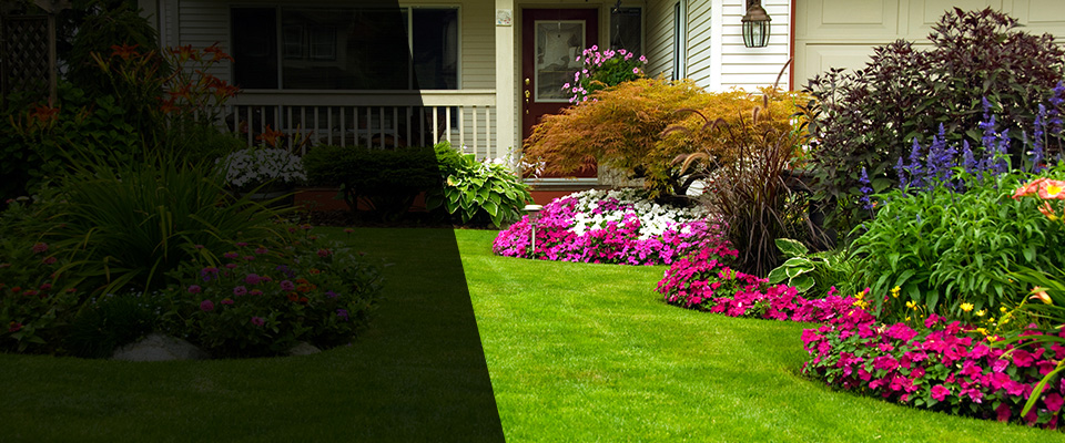 Hesperia Landscapers