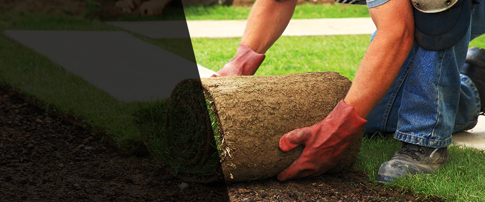 Hesperia Landscapers